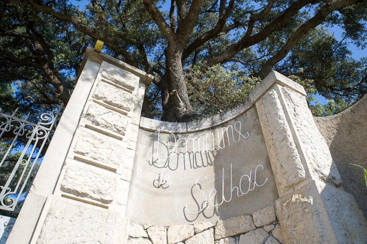 Hotel Domaine De Selhac Frontignan Exterior foto